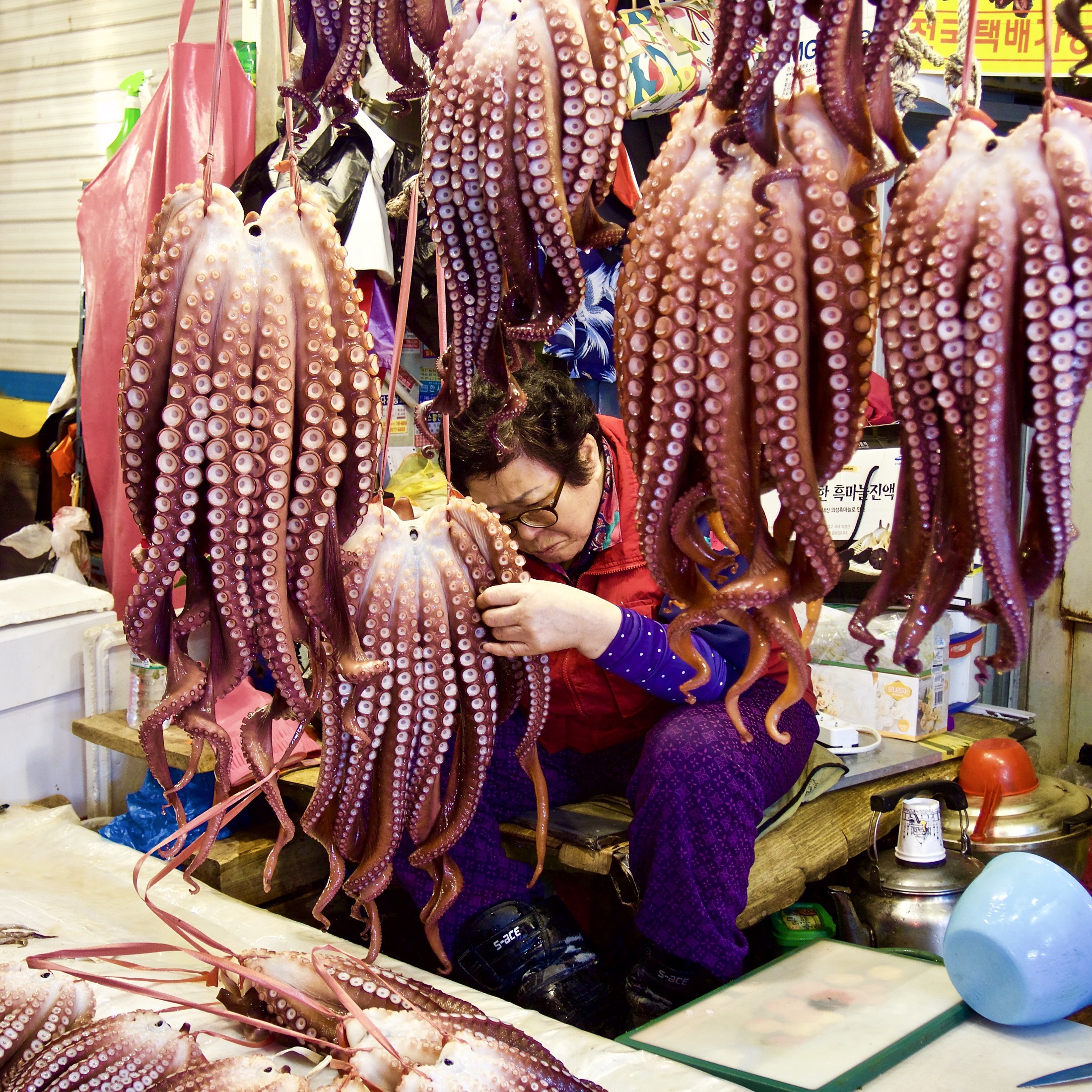 A woman in a colorful apron meticulously inspects hanging octopuses in a bustling market, surrounded by vivid displays.