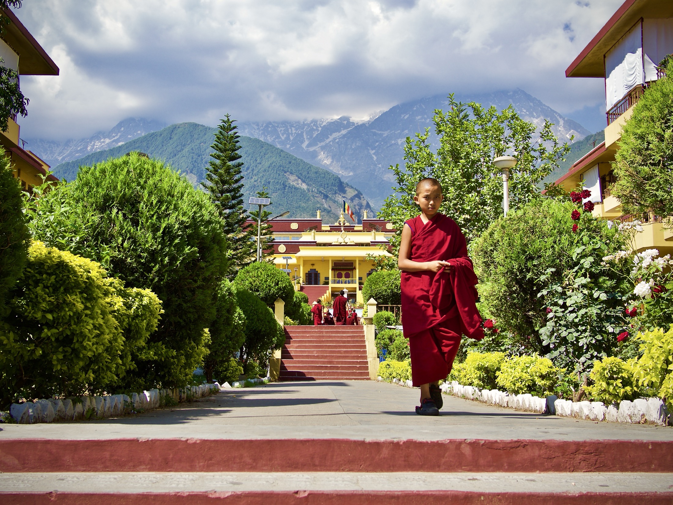 A young monk dressed in a red robe walks along a vibrant garden path, framed by lush greenery and majestic mountains.