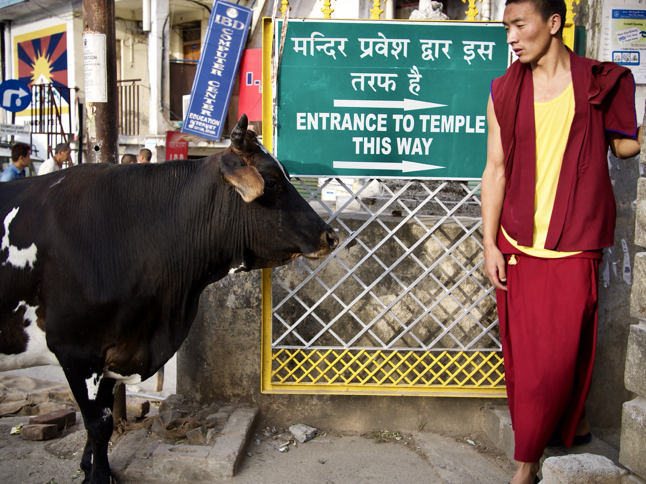 A monk in vibrant robes stands beside a curious cow at a bustling temple entrance, embodying the blend of urban life and spirituality.